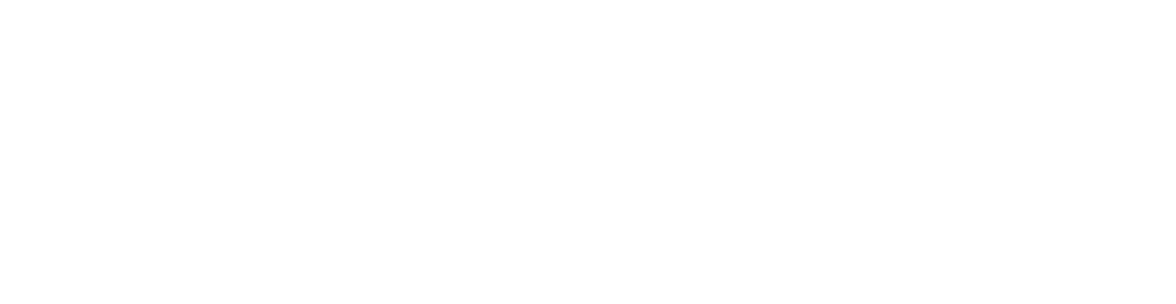 Tennessee Financial Literacy Logo - direct link to the TNFLC webiste